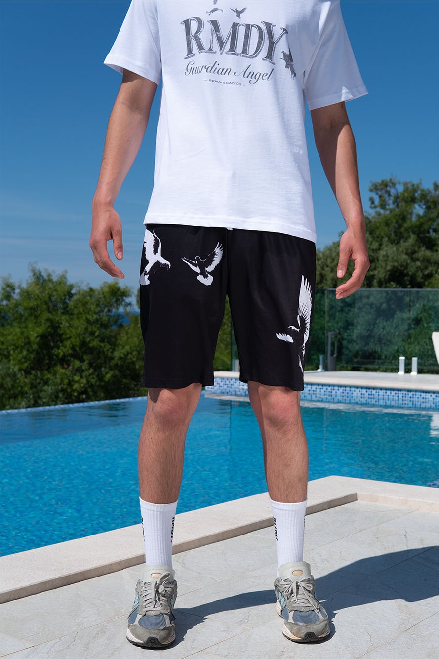 Dove Mesh Black Shorts